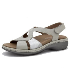 Plexi 250805-782H Grey-Silver