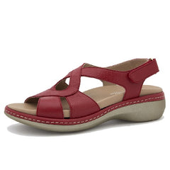 Plexi 250805-782H Red