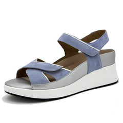 Roxan 250381-795H Light Blue-Silver