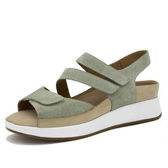 Troia 250423-734H Mint