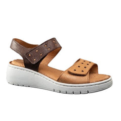 Venus 200-09 Tan-Brown